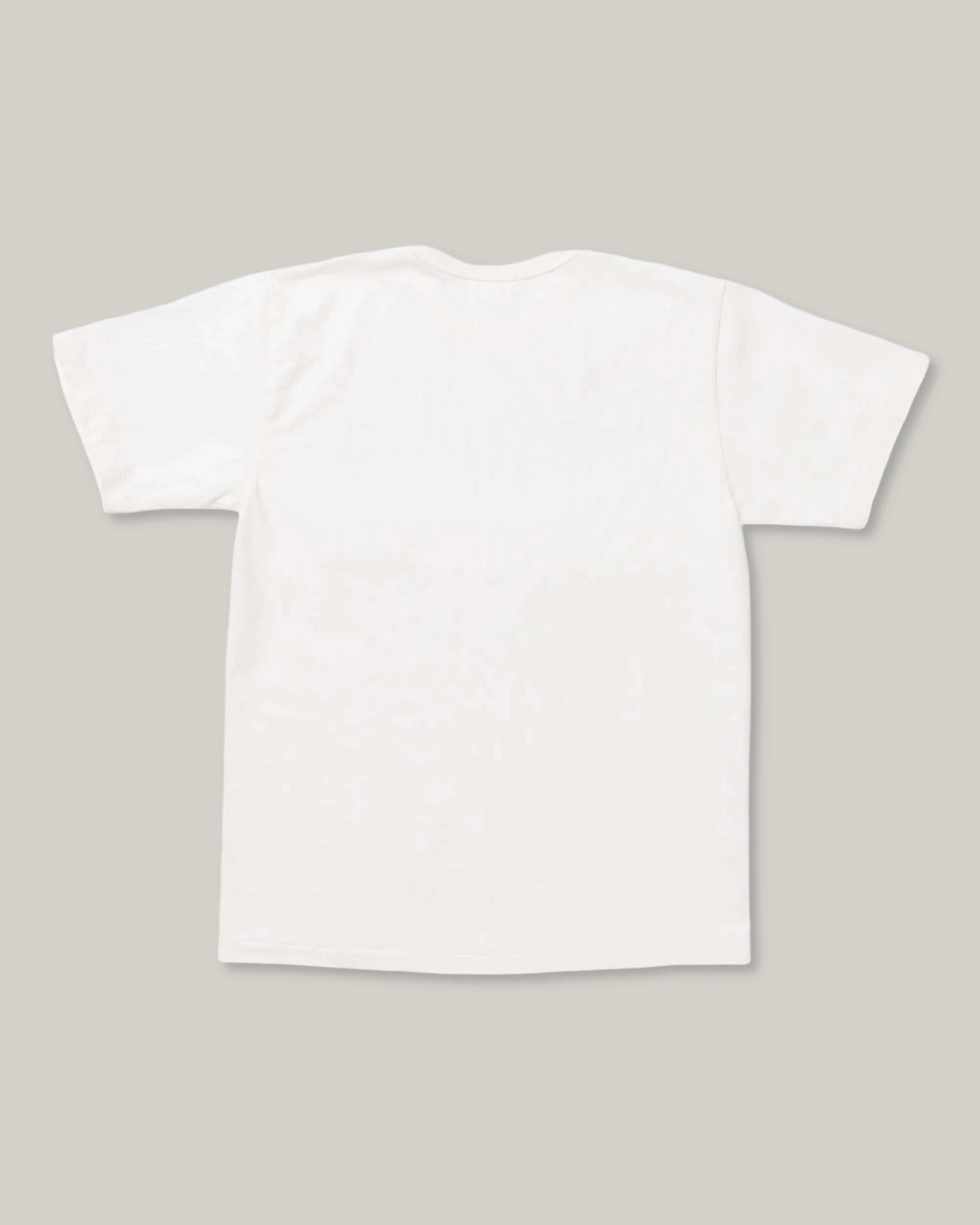 ALLLEVOL HEAVY DUTY CREW NECK T-SHIRT CROPPED - WHITE - Image 2