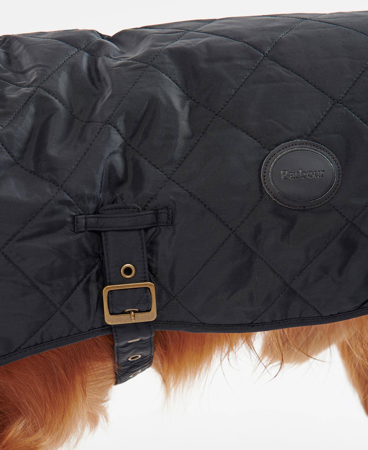 BARBOUR QUILTED DOG COAT - BLACK - Image 5
